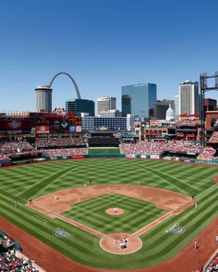 Chicago Cubs vs. Detroit Tigers