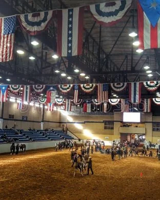 Next Level Bull Riding