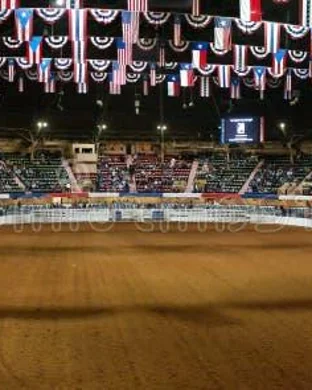 D&D Pro Rodeo
