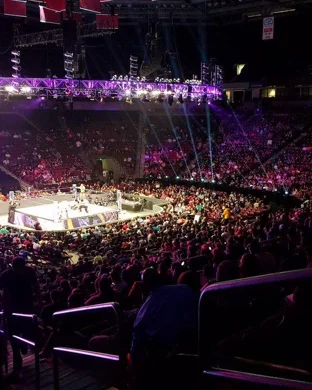 All Elite Wrestling: All Out