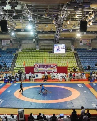 Micro Wrestling