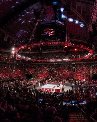 Extreme Dwarfanators Wrestling