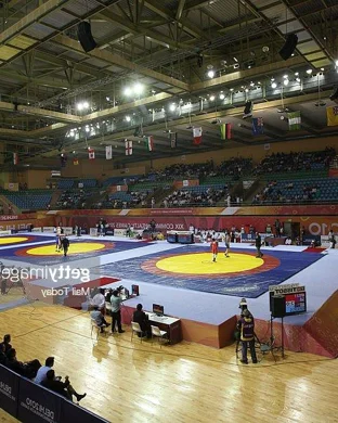 New Japan Pro Wrestling