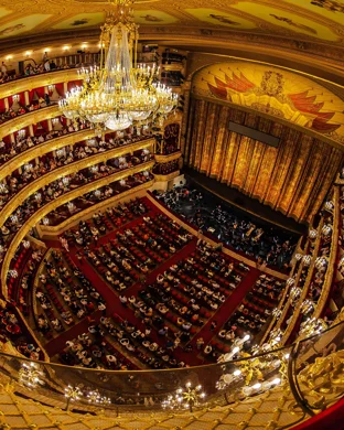 Lyric Opera of Chicago: Don Giovanni